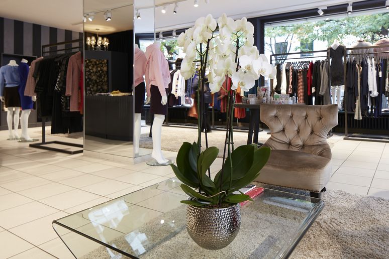 Das chice und gemütliche Interior der Boutique